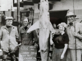 The-first-mako-caught-in-British-waters