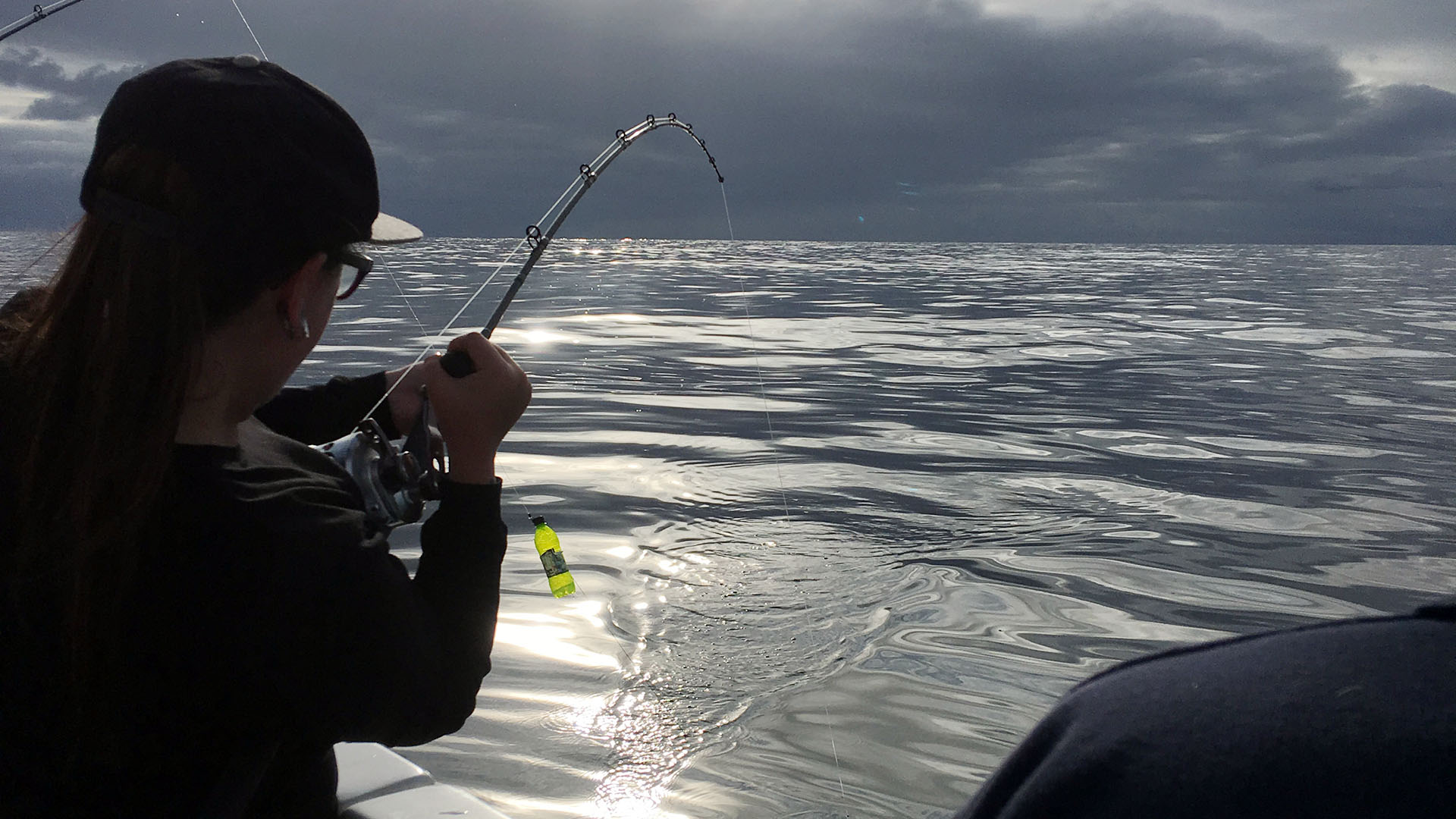 Shark Angling Club of Great Britain